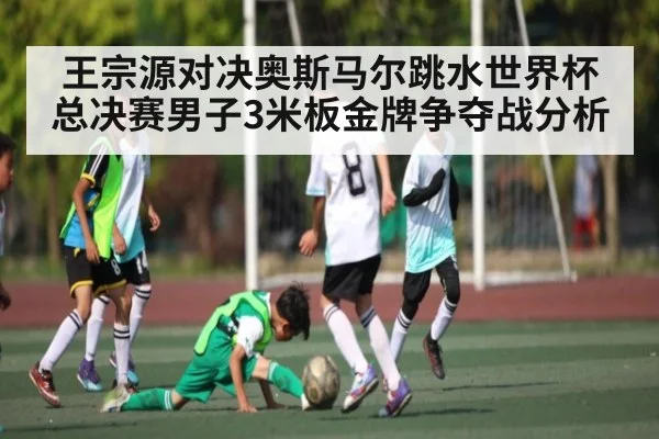 王宗源对决奥斯马尔跳水世界杯总决赛男子3米板金牌争夺战分析